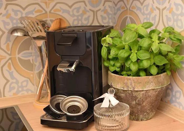 Waldborn-suite An Der Mosel Appartement Zell